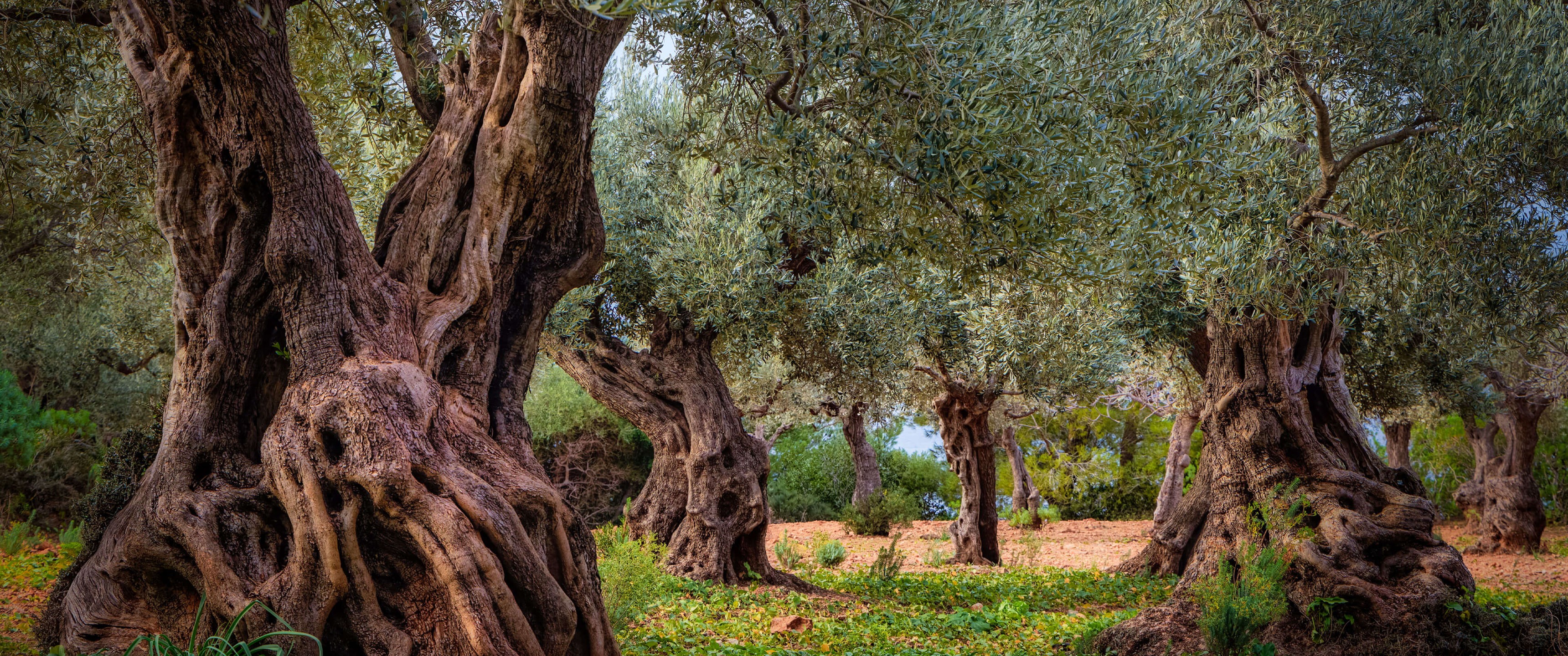 f479c66b64418564918d640b4b3a90